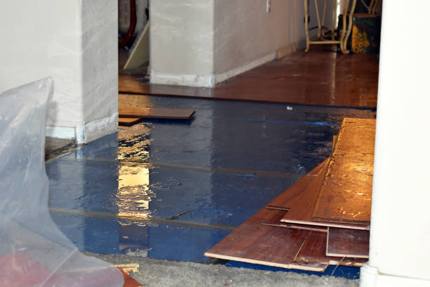 Professional Basement Flood Cleanup technician working in Milton, DE